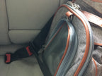 Mr. Peanut's Gold Series Big Apple XL Expandable Pet Carrier V3.0