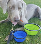 2 Pak XL 34oz Collapsible Travel Bowls for Larger Pets