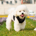 Mr. Peanut's PupTrek Soft Mesh Pet Harness with Matching Leash – Adjustable, Breathable, Choke-Free